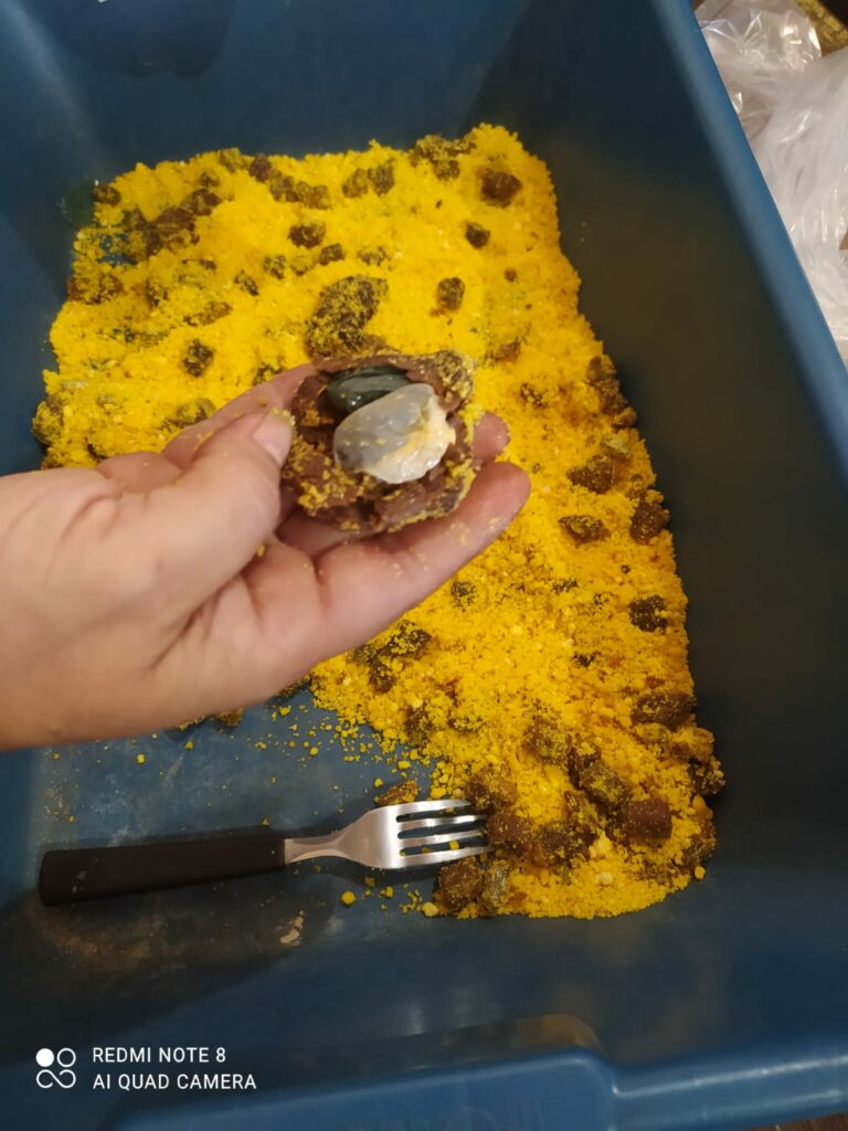 Ingrediente diferente: em Sena Madureira, policiais penais apreendem cocaína dentro de farofa