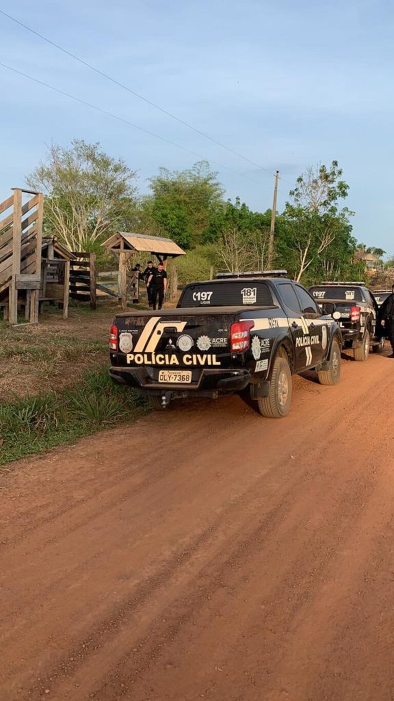 Polícia indicia envolvidos em furto de gado na Transacreana; animais foram recuperados