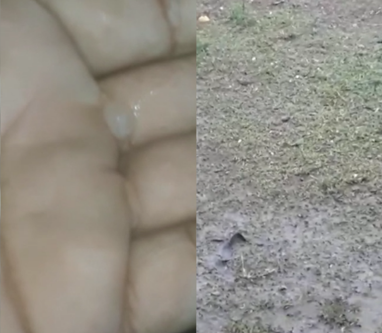 VÍDEO: Morador registra chuva de granizo no ramal do Cassirian, em Sena Madureira