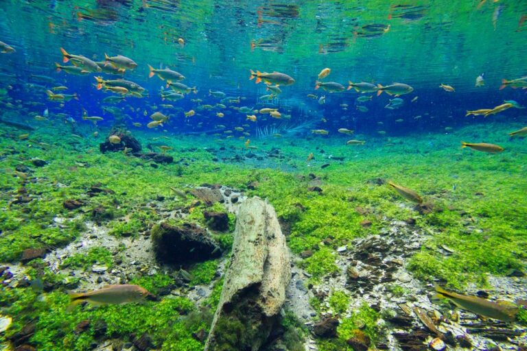 Quadrilha paulista é presa ao ostentar em cidade turística com cartões falsos