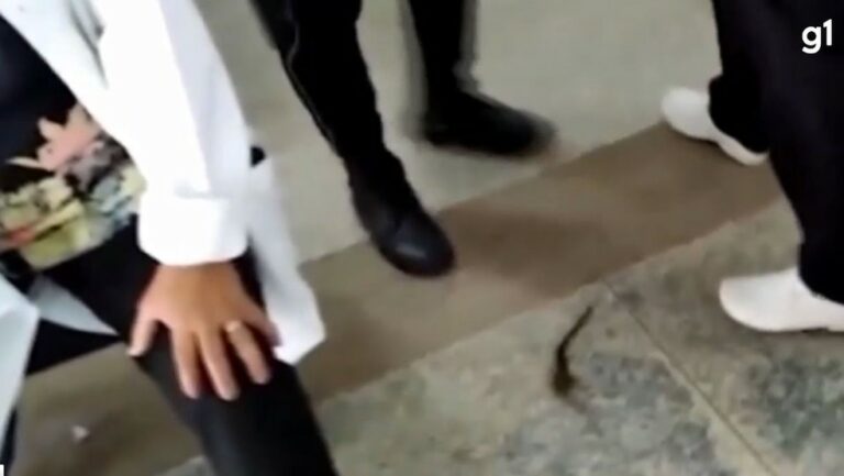 Vídeo: enfermeira leva soco e técnica tem cabelo arrancado durante ataque de paciente em hospital