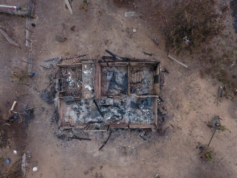 Imagens aéreas mostram ‘resto’ de casa consumida por fogo, árvore ‘sobrevivente’ e animal carbonizado no Pantanal