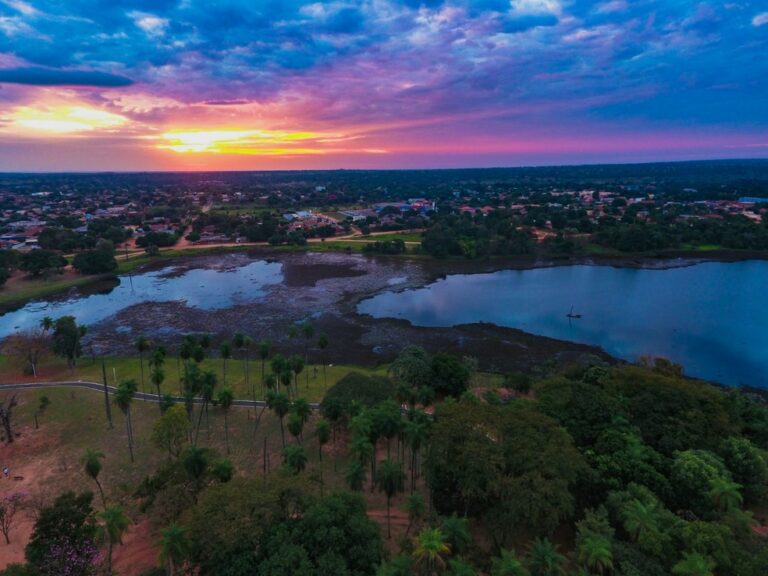 Com garças imitando árvore de flores brancas no Pantanal e poesia, biólogo recebe prêmio por curta em MS