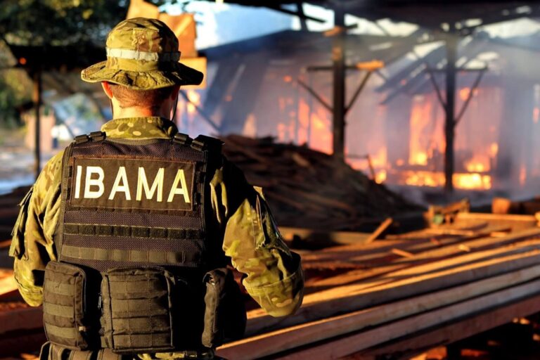 Concurso Ibama: 500 aprovados podem tomar posse a partir de julho