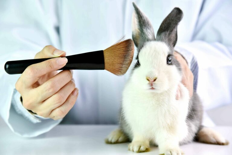 Governo do Acre sanciona lei que proíbe testes de produtos cosméticos em animais