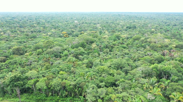 Autor do Código Florestal, Jorge Viana faz reflexão sobre os 10 anos de criação da Lei