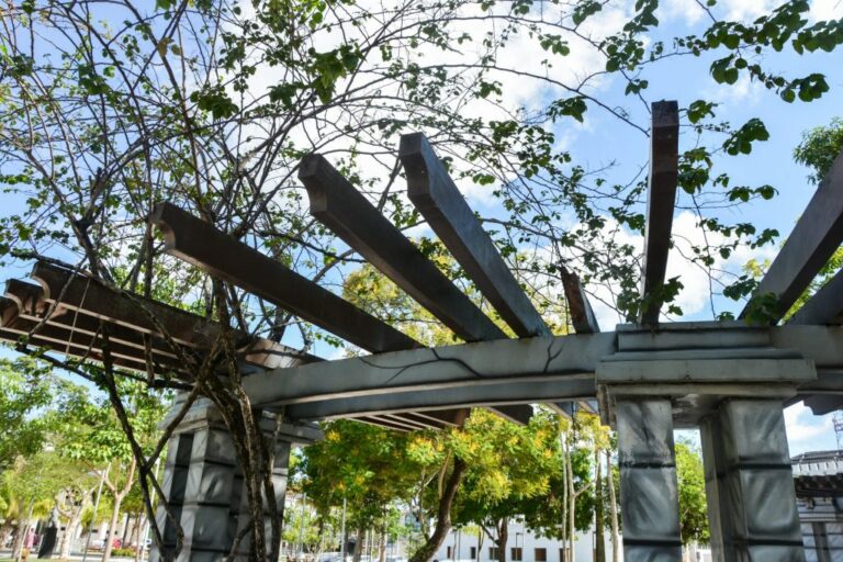 Prefeitura de Rio Branco iniciará obra de revitalização, paisagismo e decoração natalina na Praça da Revolução