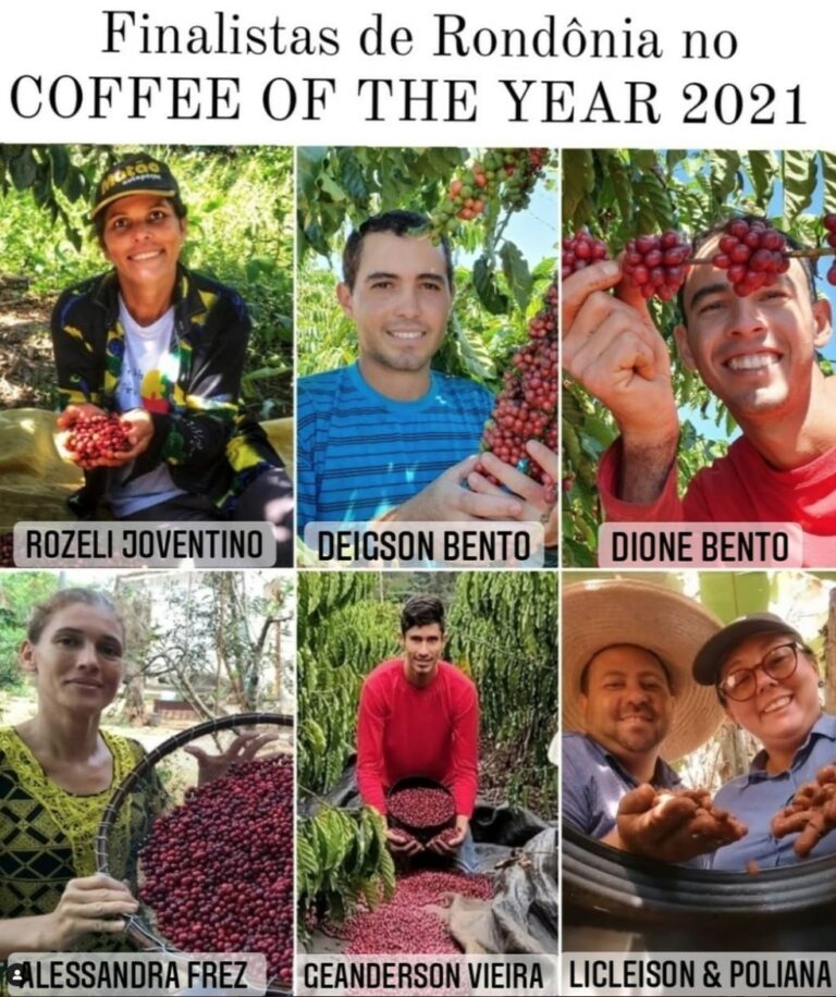 Sete cafeicultores de Rondônia são finalistas no ‘Coffee of the Year 2021’