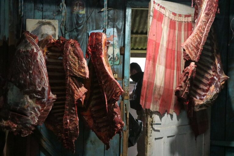 MP prende suspeitos de vender carne de cavalos abatidos clandestinamente a restaurantes