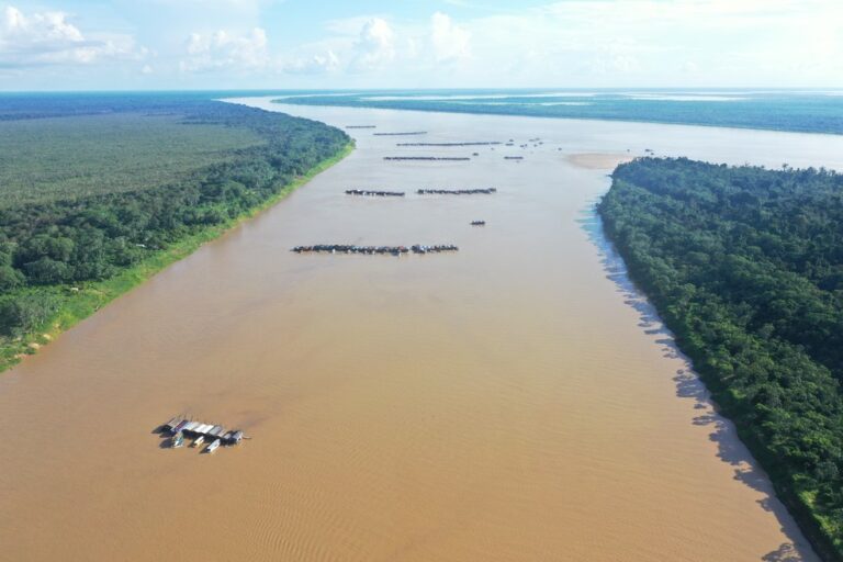 Mercúrio usado em garimpo no rio Madeira causa lesões nos órgãos de quem se alimenta todos os dias por peixes contaminados