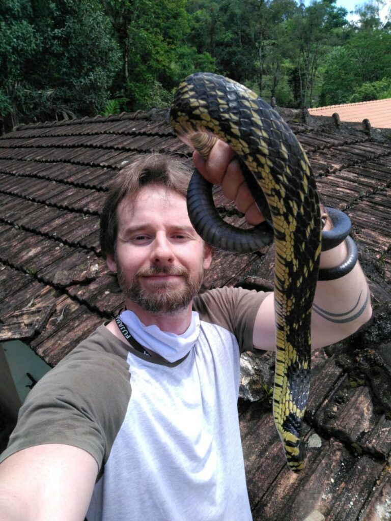 Mulher vai tomar banho e encontra cobra de um metro no telhado do banheiro; VÍDEO