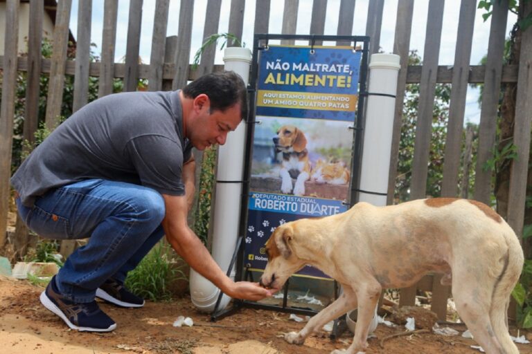Gabinete Móvel de Roberto Duarte vai disponibilizar comedouro para animais de rua