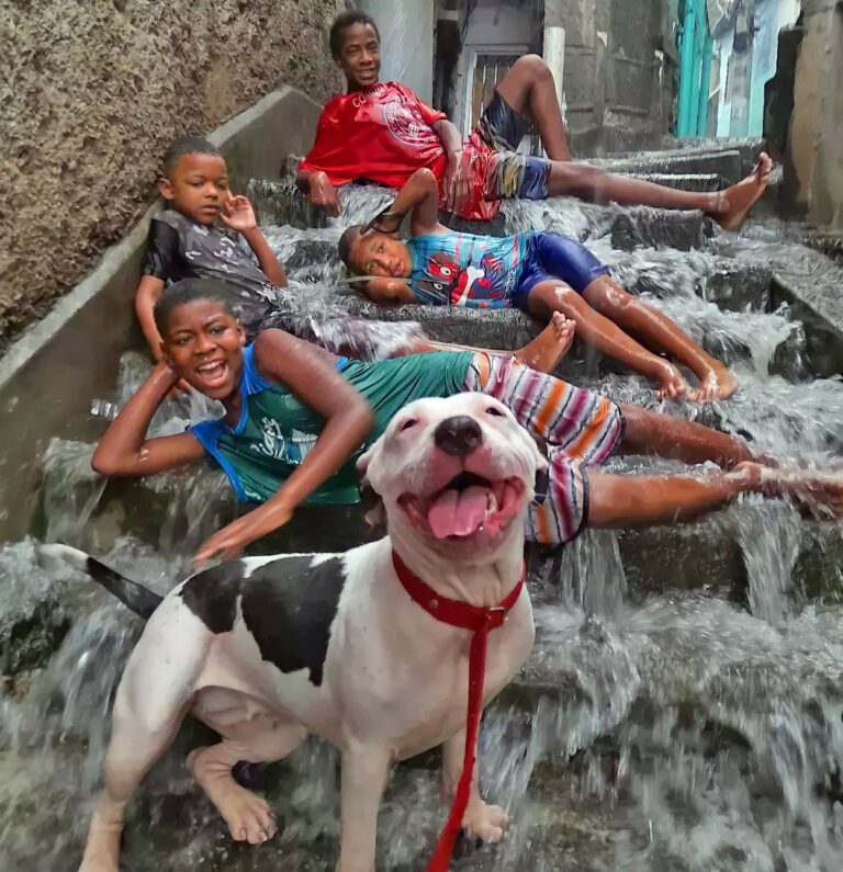 Foto de crianças na chuva e cachorro sorrindo viraliza: ‘Estavam todos felizes’, diz jovem fotógrafa