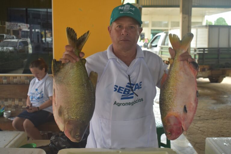 Prefeitura de Brasileia e SEBRAE realizam IV Feira do Peixe
