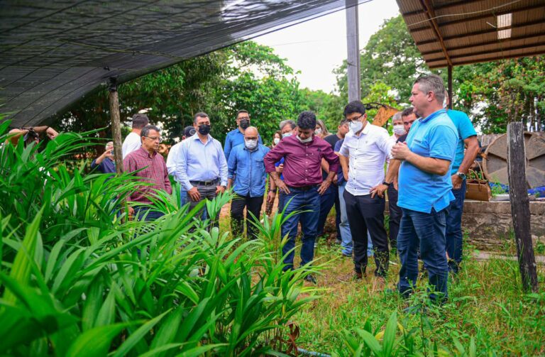 Comitiva acreana inicia agendas no Pará para conhecer modelo de cadeia produtiva do açaí a ser implementado no AC