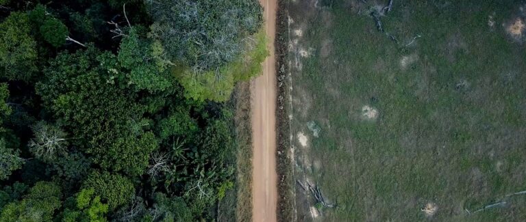 Local exato onde ocorreu o último Empate com Chico Mendes vivo