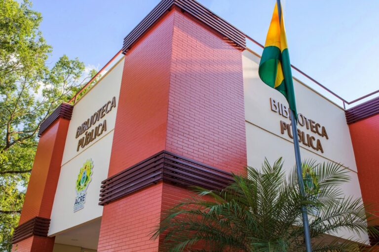 Sessão HQ: Biblioteca Pública conta com sessão apenas para histórias em quadrinhos de super-heróis