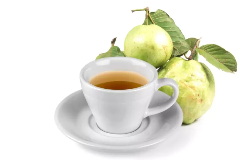 Chá de folha de goiaba: confira os benefícios e saiba como usar no cabelo