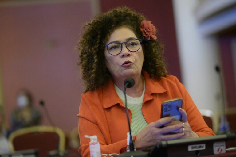 No Parlasul, Perpétua fala da urgência de o Brasil retomar compromissos com a preservação ambiental