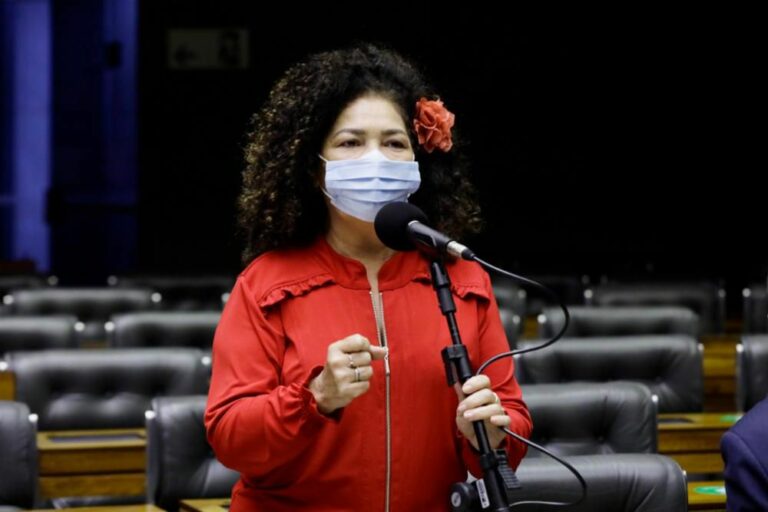 Deputada Perpétua afirma que governo não tem votos para aprovar a PEC 32