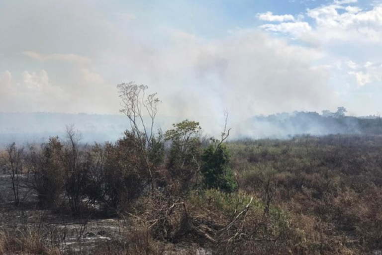 Após quase dez dias, incêndio no Parque Nacional de Ilha Grande é controlado