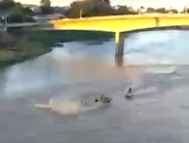 Acidente entre motos aquáticas é registrado no feriado de Natal no Rio Acre; veja o vídeo