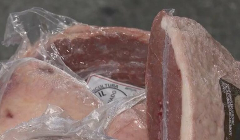 Criminosos roubam mais de 100 kg de picanha avaliados em R$ 30 mil de açougue