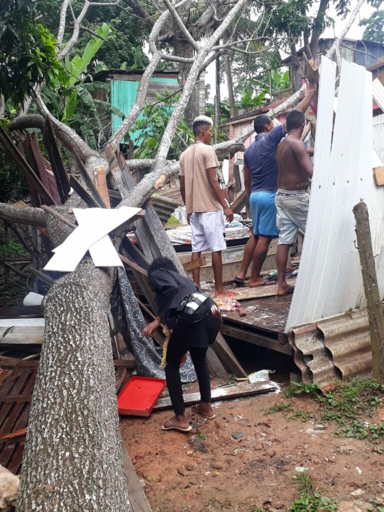 No Preventório, em Rio Branco, árvore destrói residência e mulher faz apelo em redes: “Venho implorar por ajuda”