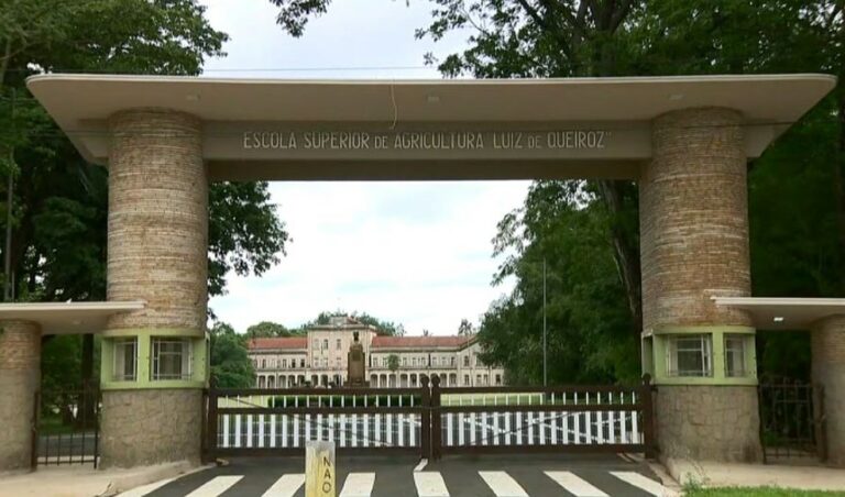 Professor da USP é demitido após denúncias de assédio sexual contra alunas