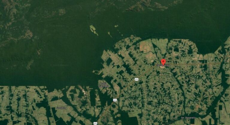 Polícia investiga como mulher foi morta no meio de floresta; corpo foi achado em decomposição