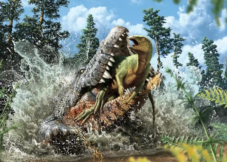 Fóssil de crocodilo pré-histórico é achado com dinossauro no estômago