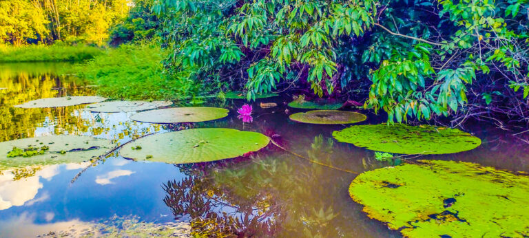 As belezas do Rio Crôa