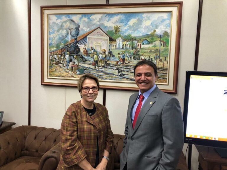 Márcio Bittar diz que possível candidatura de ministra da Agricultura na chapa de Boosonaro “é cenário perfeito”