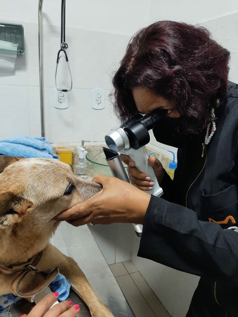 Atuando desde 2017, clínica especializada em oftalmologia animal se torna referência em Rio Branco