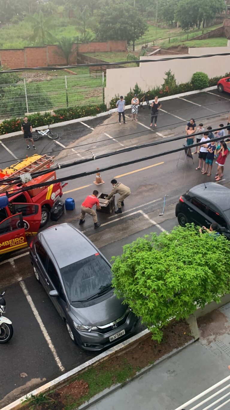 Vídeo: Cobra assusta moradores em condomínio de Rio Branco e é capturada por bombeiros
