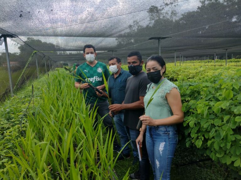 Prefeitura de Brasiléia busca parceria para fortalecimento da agricultura