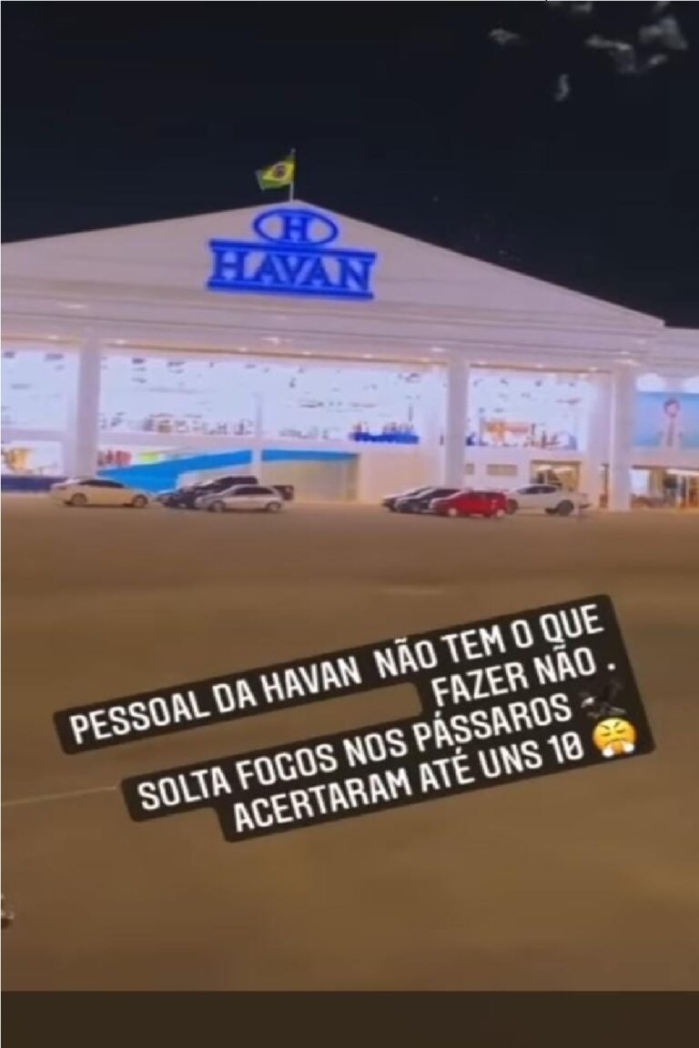 Vídeo mostra homens em loja no AC soltando fogos de artifício para atingir pássaros