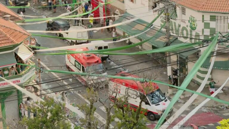 Torcedor do Palmeiras morre após briga no entorno do estádio, diz PM