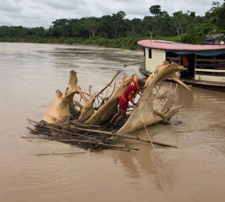 Equipe do CB auxilia Depasa em retirada de árvore presa em flutuante em Feijó