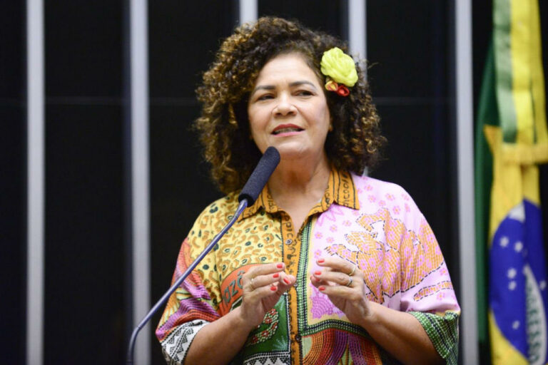 Câmara aprova emenda de Perpétua que retoma despacho gratuito de bagagem em voos