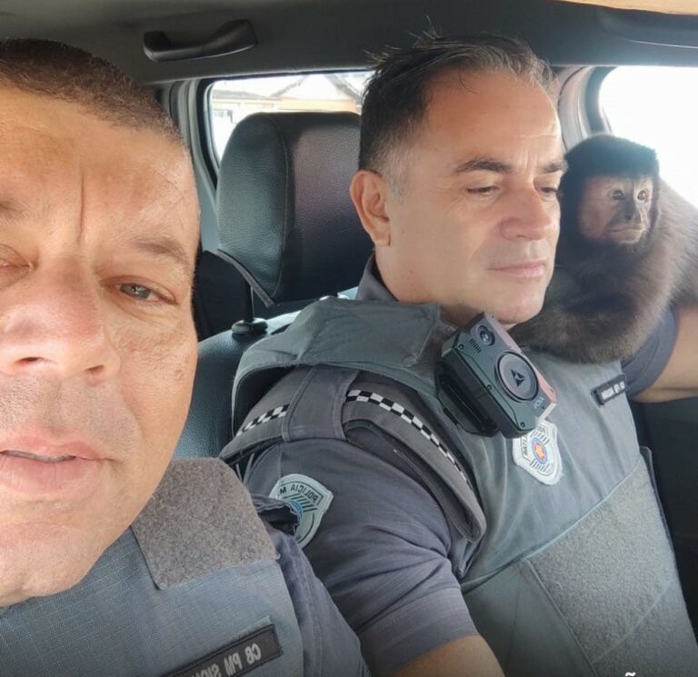 Macaco invade viatura e tira selfie com PMs: ‘dócil, mas tinha uns dentões’