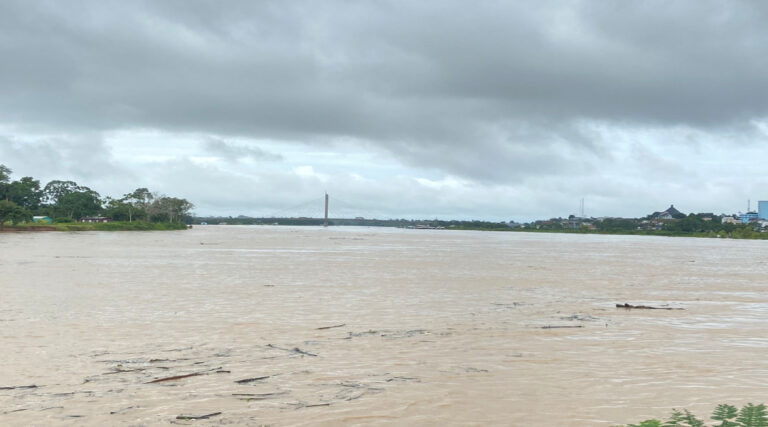 Chuva acumulada em rios Tejo e Amônia colocam Juruá em alerta