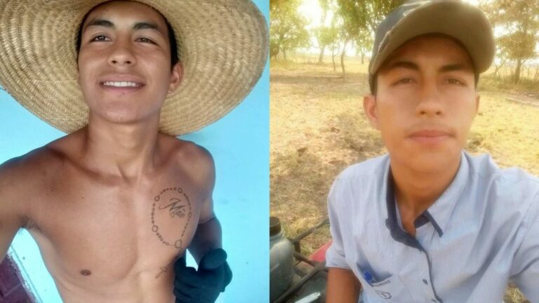 Trabalhador rural de 20 anos morre triturado por máquina de ração em fazenda