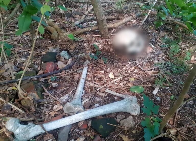 Ossada humana é encontrada por trabalhadores às margens de rodovia