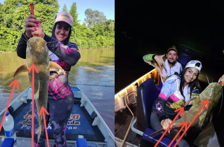 História de pescador? Veterinária fisga duas vezes o ‘mesmo peixe’, em pontos e horários diferentes, no mesmo rio