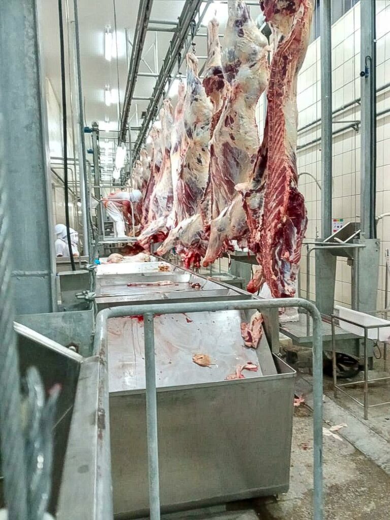 Governo reduz imposto para importação de 11 produtos; veja lista