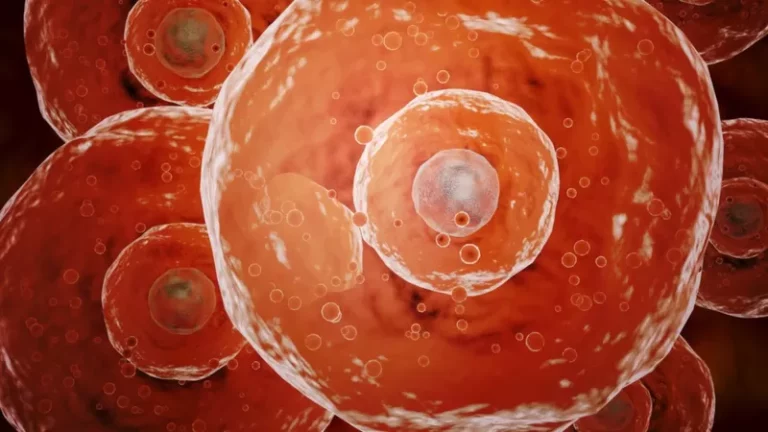 Covid: o que é a ‘superimunidade’ e como ela nos protege contra infecções