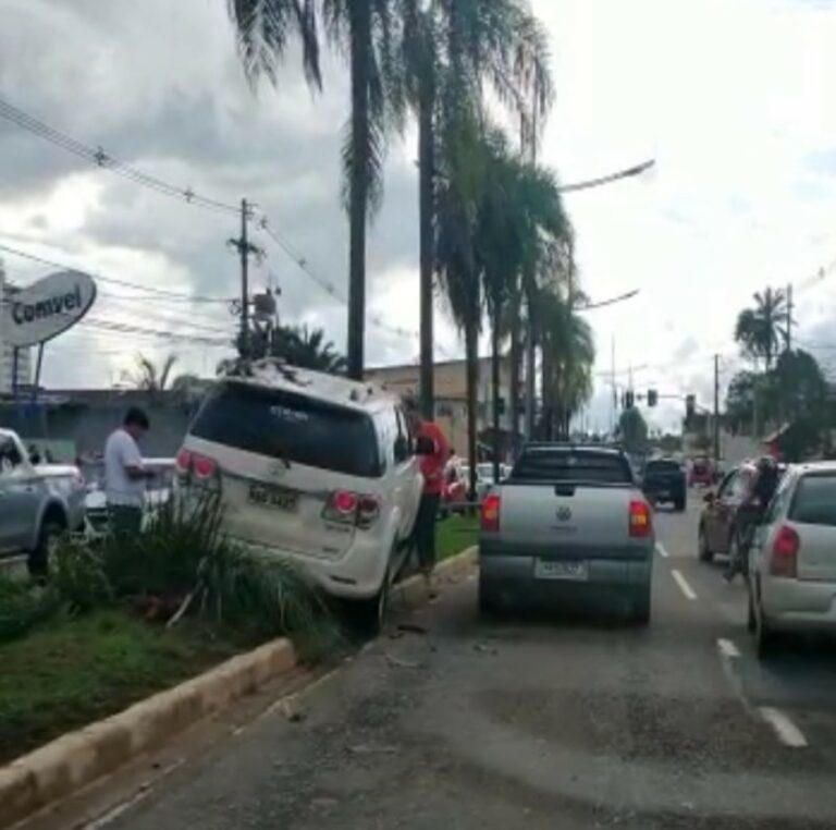 Vídeo: carro perde o controle, invade canteiro da Avenida Ceará e derruba poste e árvore