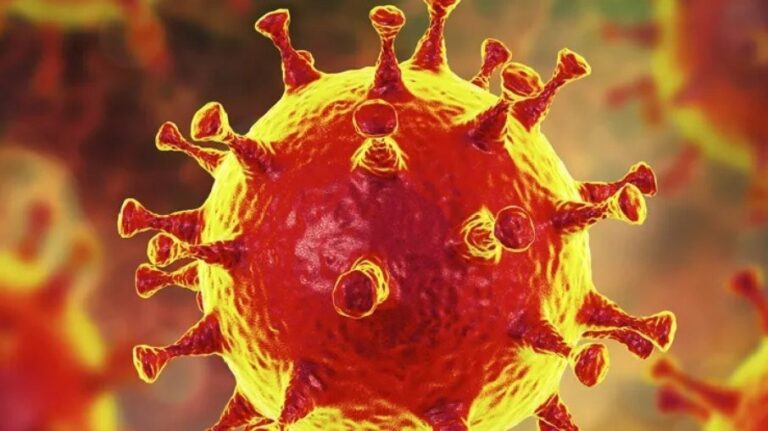 Coronavírus pode infectar pênis, testículos e próstata, mostra estudo