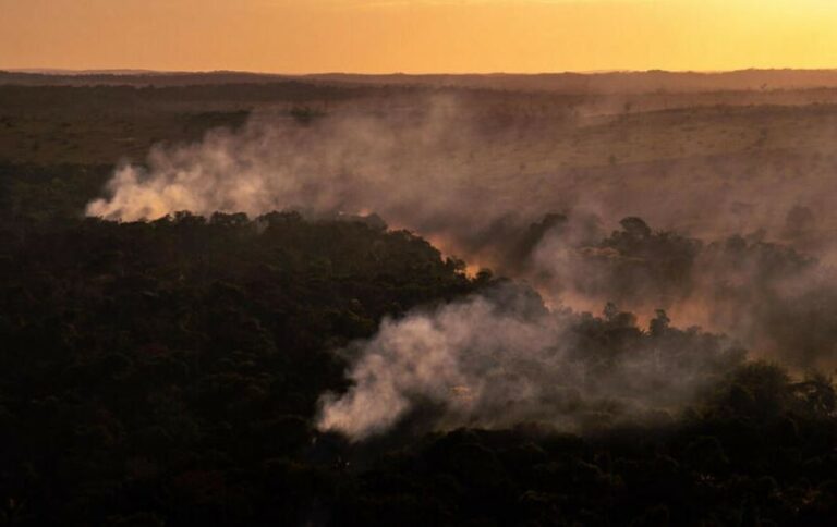 Amazônia está perdendo capacidade de regeneração há 19 anos, diz estudo